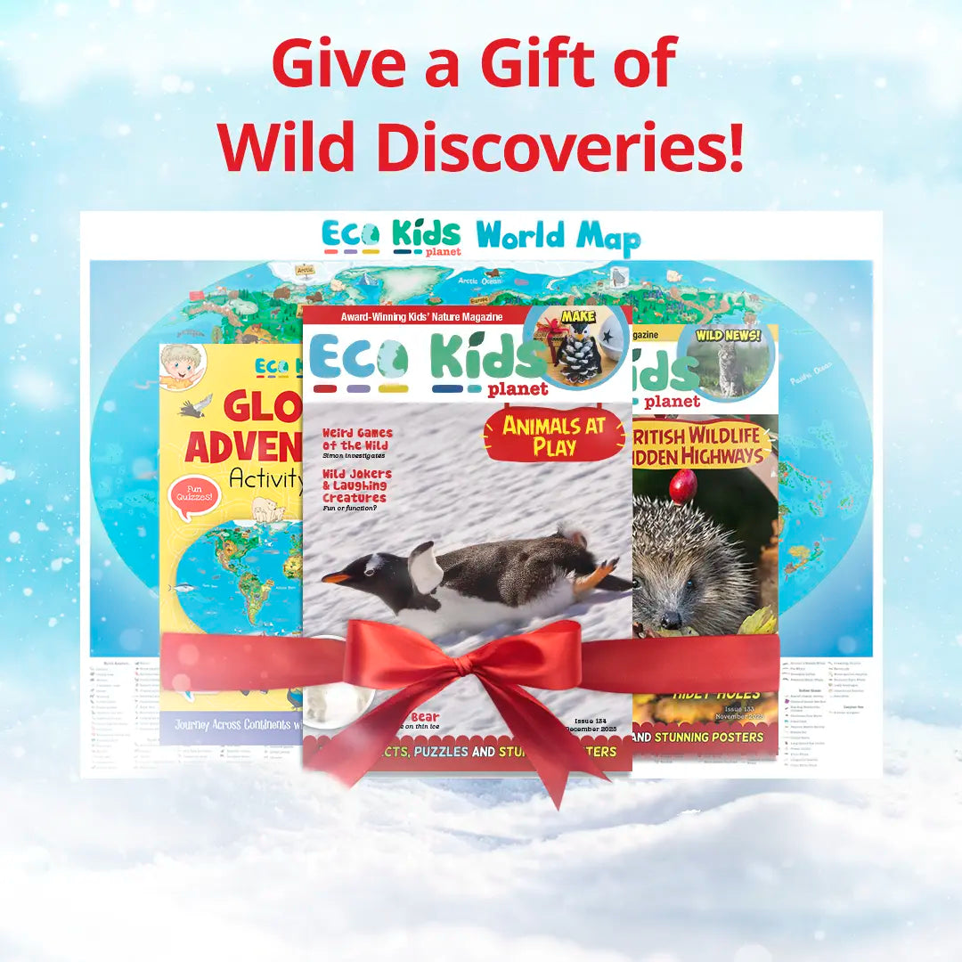Eco Kids Planet Magazine – Gift Subscription