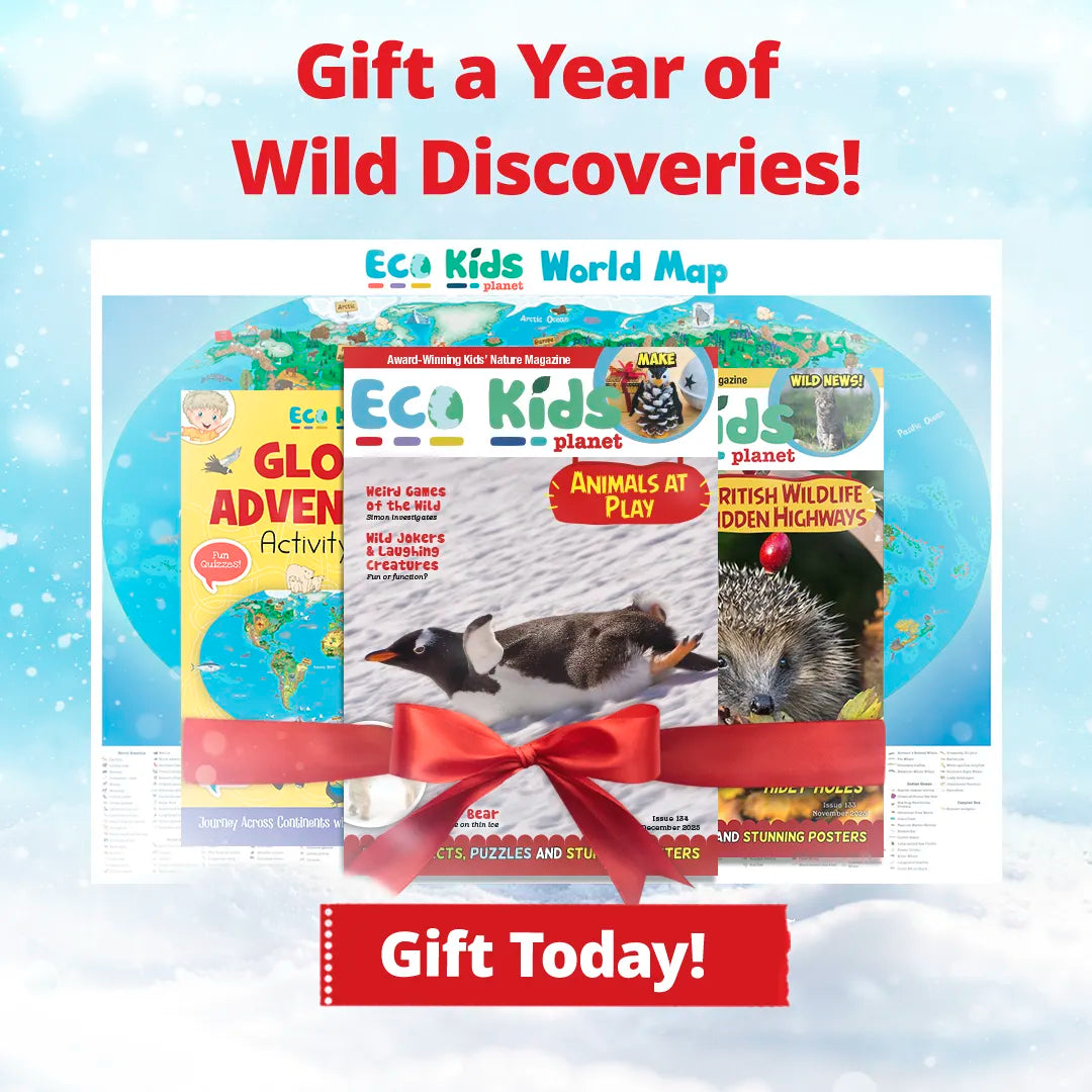 Children's Magazine Subscription – Christmas Special