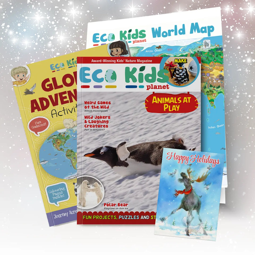 Deluxe Mini-Gift Subscription Bundle – 4 Months + World Map & Quiz Book