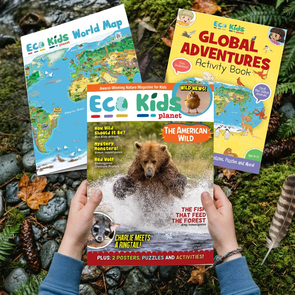 Eco Kids Planet Magazine – Ongoing Subscription