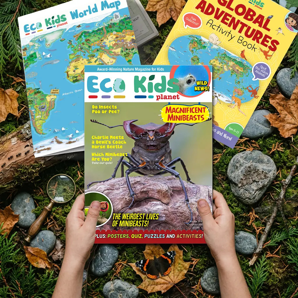 Eco Kids Planet Magazine – Ongoing Subscription