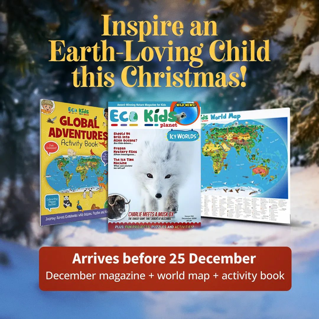 Eco Kids Planet Magazine - 6-Monthly Subscription (XMAS)