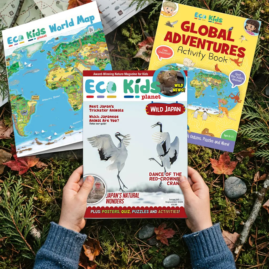 Eco Kids Planet Magazine – Ongoing Subscription