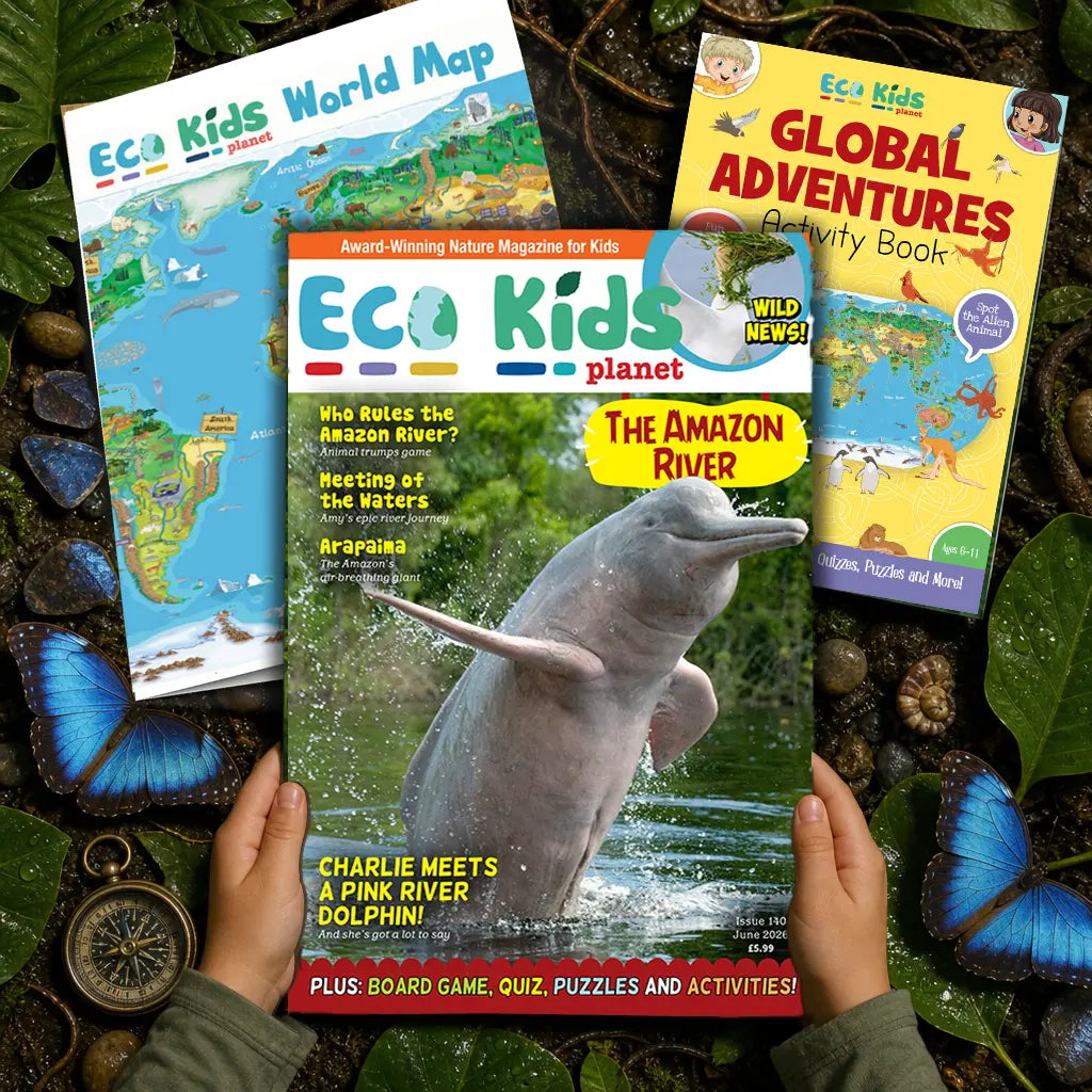 Eco Kids Planet Magazine Subscription