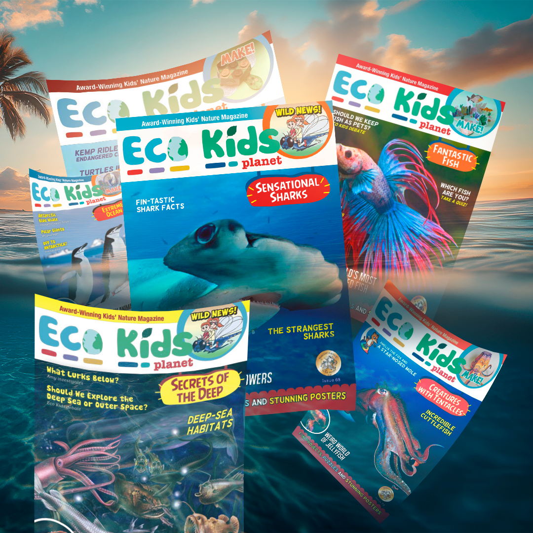 Sea Creatures Collection