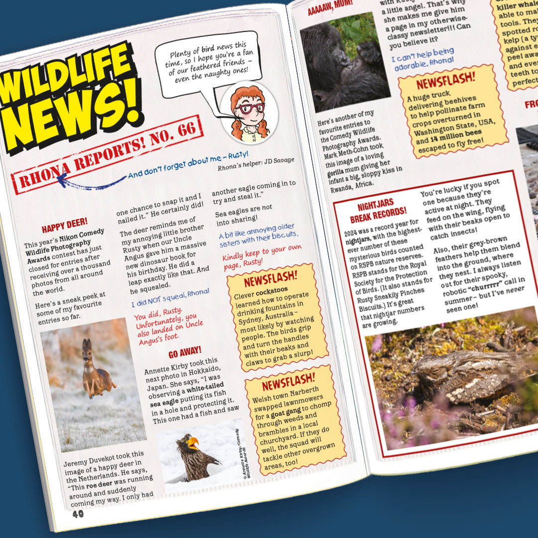 Kid&#39;s Nature Magazines – Issue 129-130 – Web of Life
