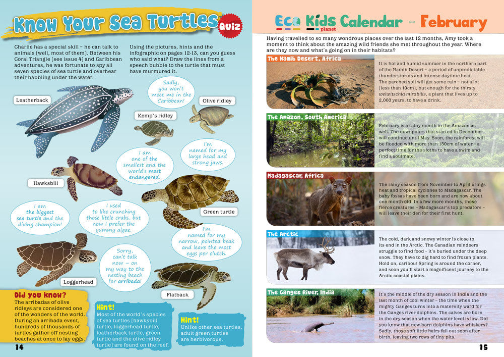 Kid&#39;s Nature Magazines - Issue 16 - The Secrets of the Caribbean Sea