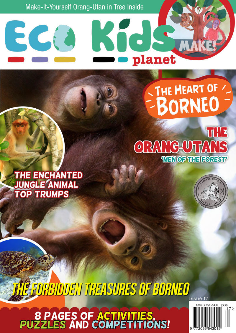 Kid's Nature Magazines - Issue 17 - The Heart of Borneo