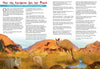 Kid&#39;s Nature Magazines - Issue 20 - Australia, Great Sandy-Tanami Deserts