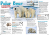 Kid&#39;s Nature Magazines - Issue 38 - Greenland, Land of Melting Ice