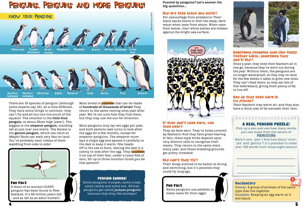 Kid&#39;s Nature Magazines - Issue 50 - Penguins of the World