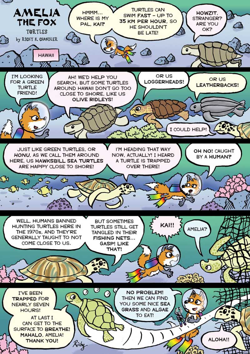 Kid&#39;s Nature Magazines - Issue 51 - The Pacific Ocean