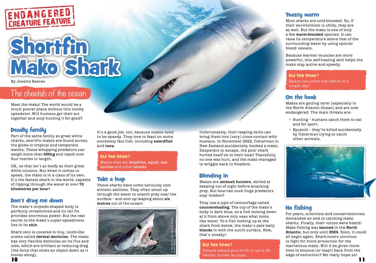 Kid&#39;s Nature Magazines – Issue 101 - Built for Speed