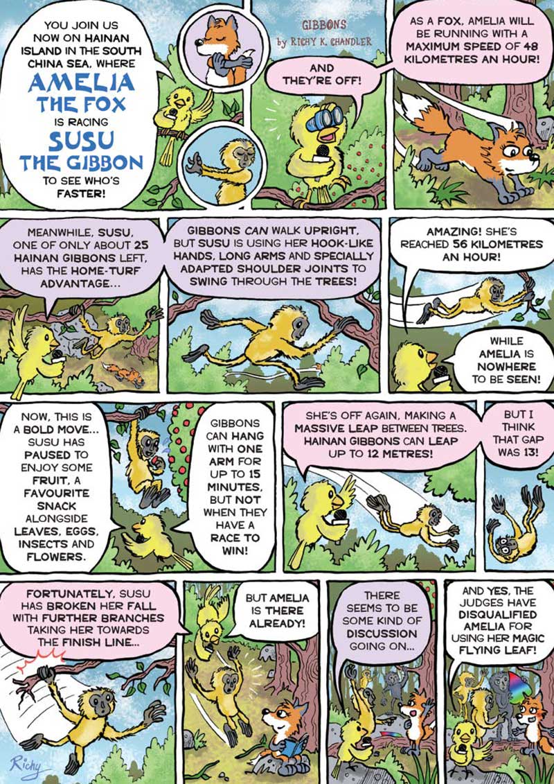 Kid&#39;s Nature Magazines – Issue 101 - Built for Speed