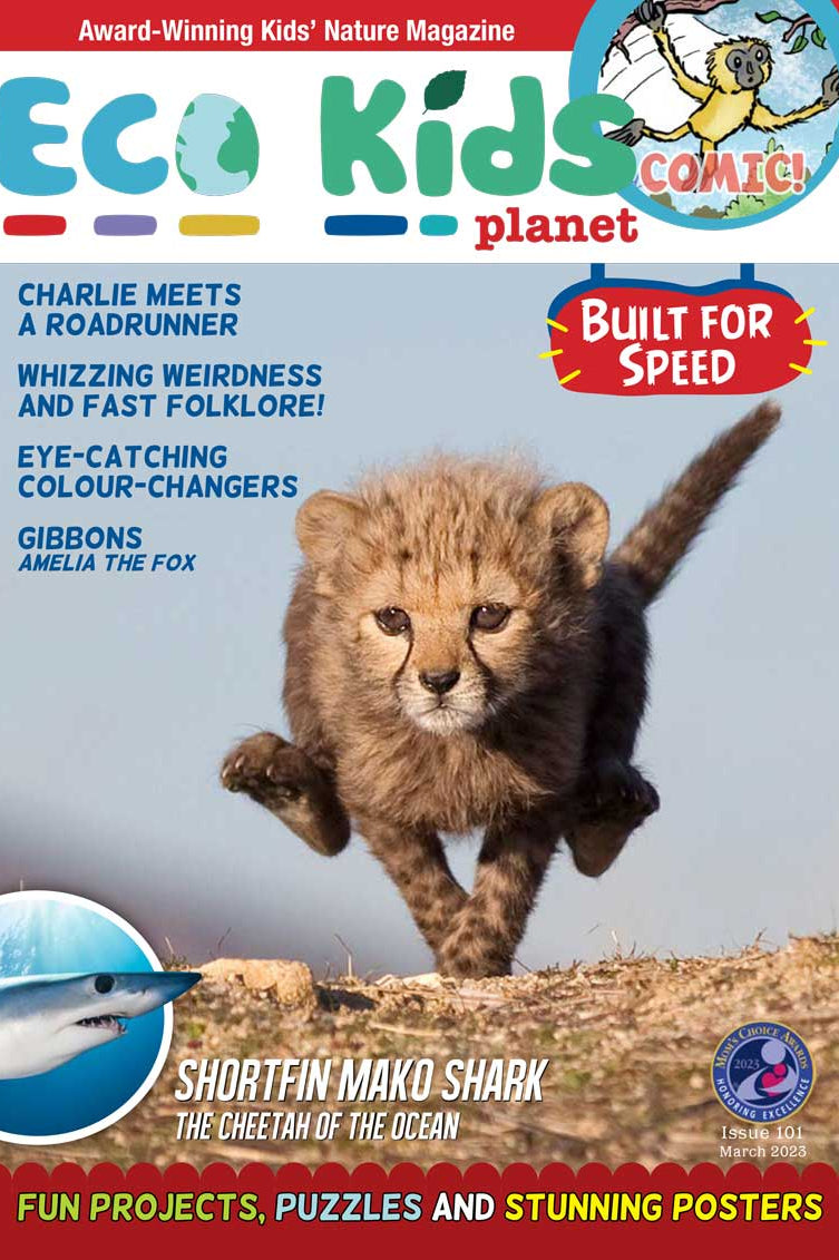 Kid's Nature Magazines – Issue 101 - Built for Speed