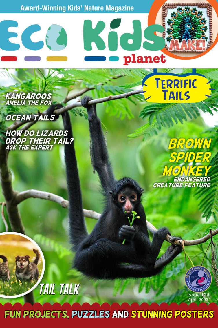 Kid's Nature Magazines – Issue 102 - Terrific Tails