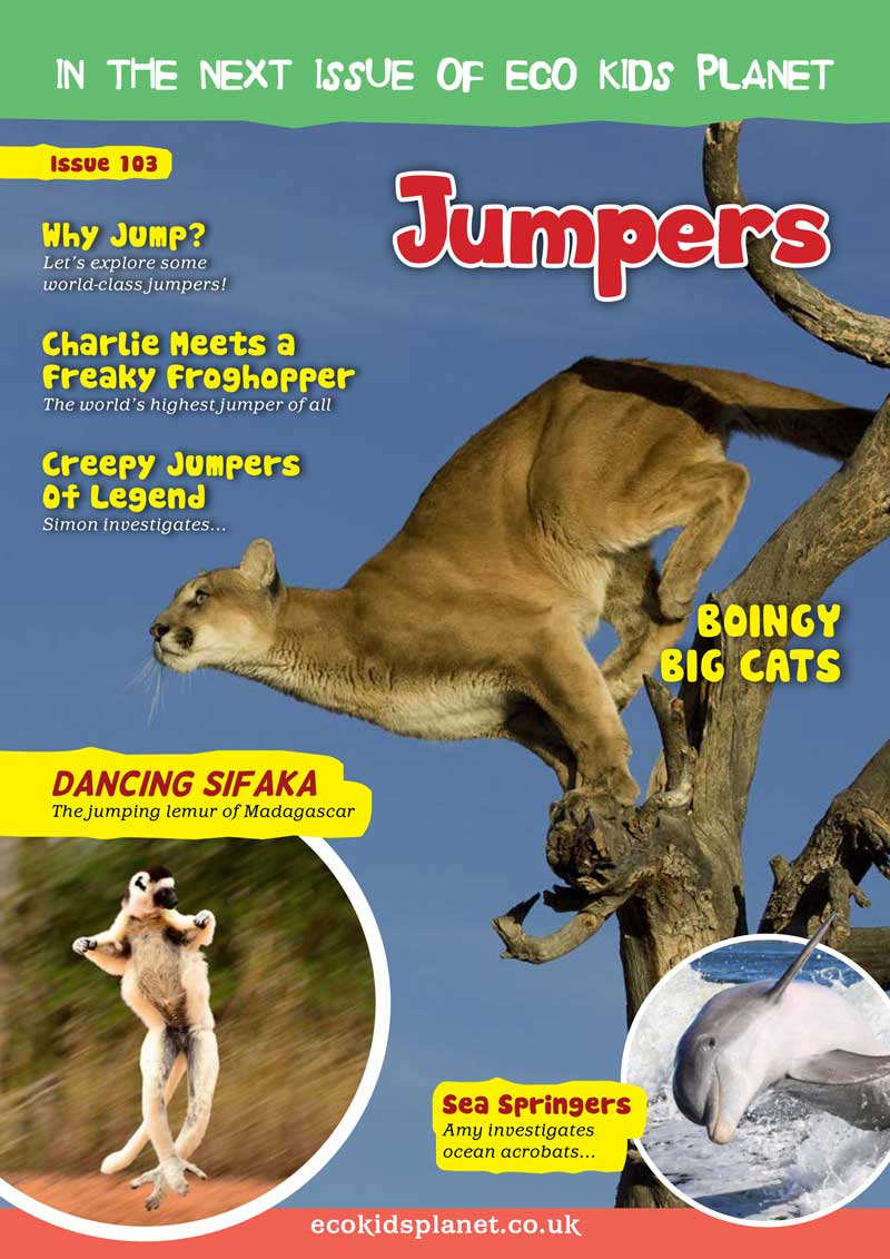 Kid&#39;s Nature Magazines – Issue 102 - Terrific Tails