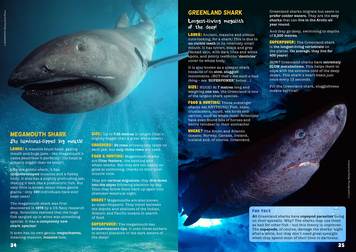 Kid&#39;s Nature Magazines - Issue 44 - The Deep Sea
