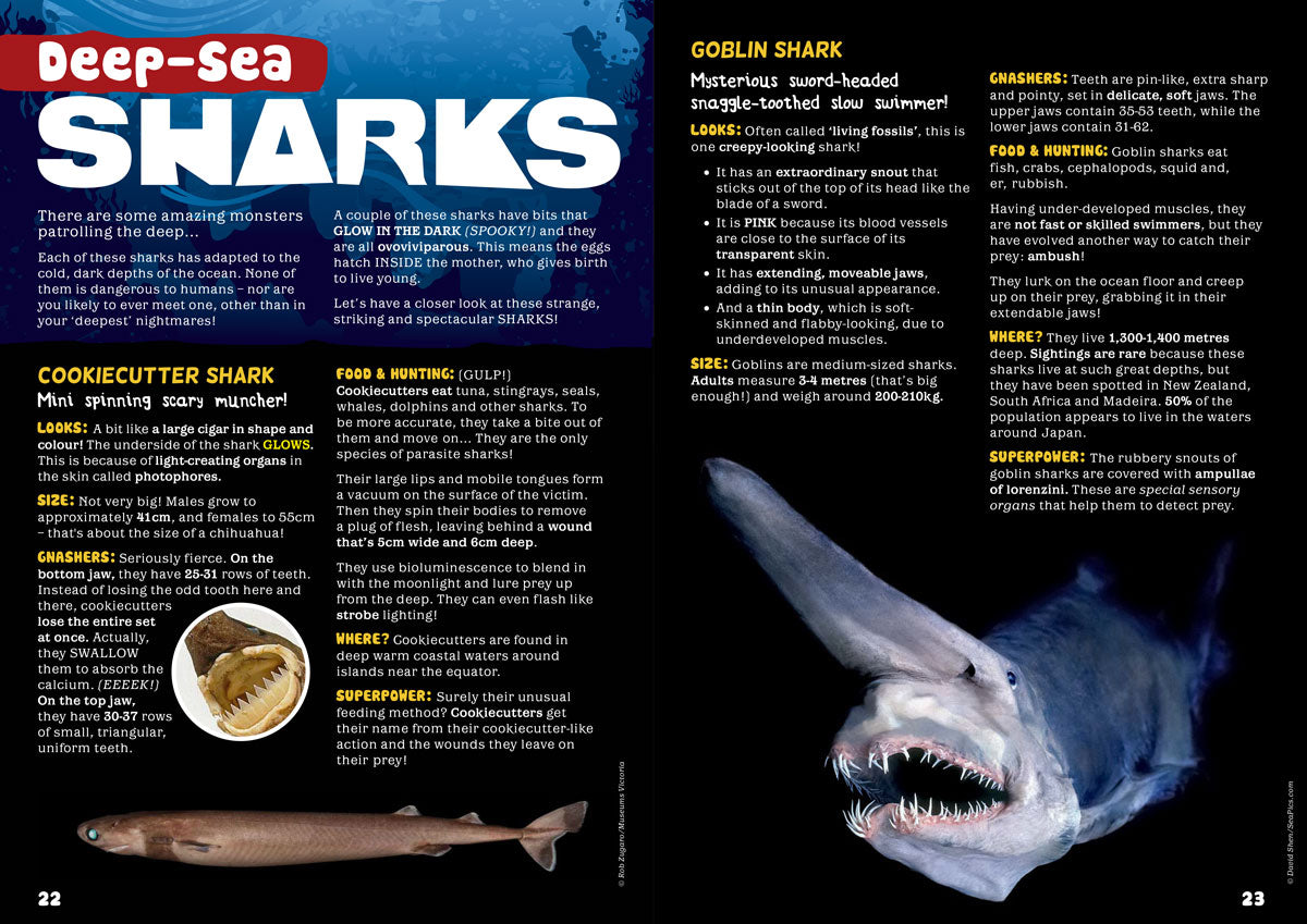 Kid&#39;s Nature Magazines - Issue 44 - The Deep Sea