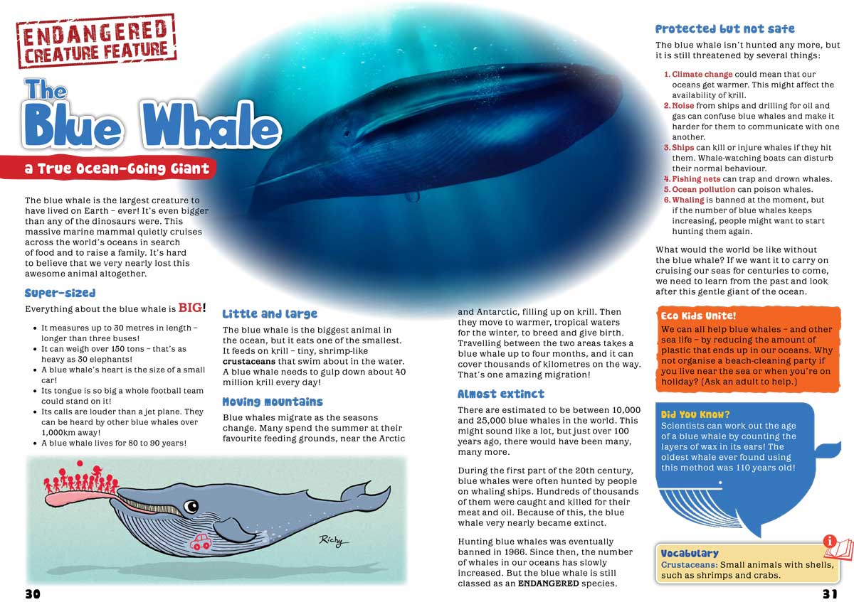 Kid&#39;s Nature Magazines - Issue 45/46 - Amazing Animal Migration