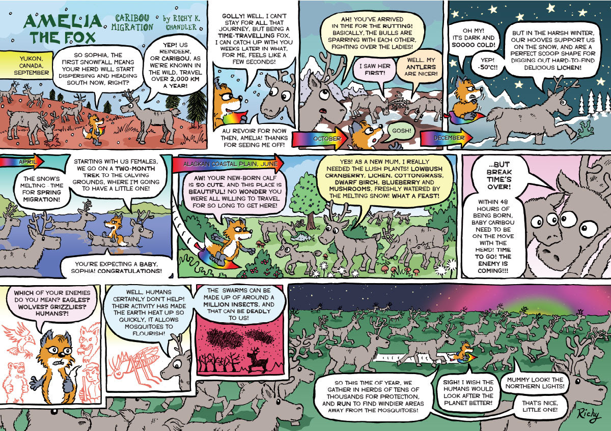 Kid&#39;s Nature Magazines - Issue 45/46 - Amazing Animal Migration