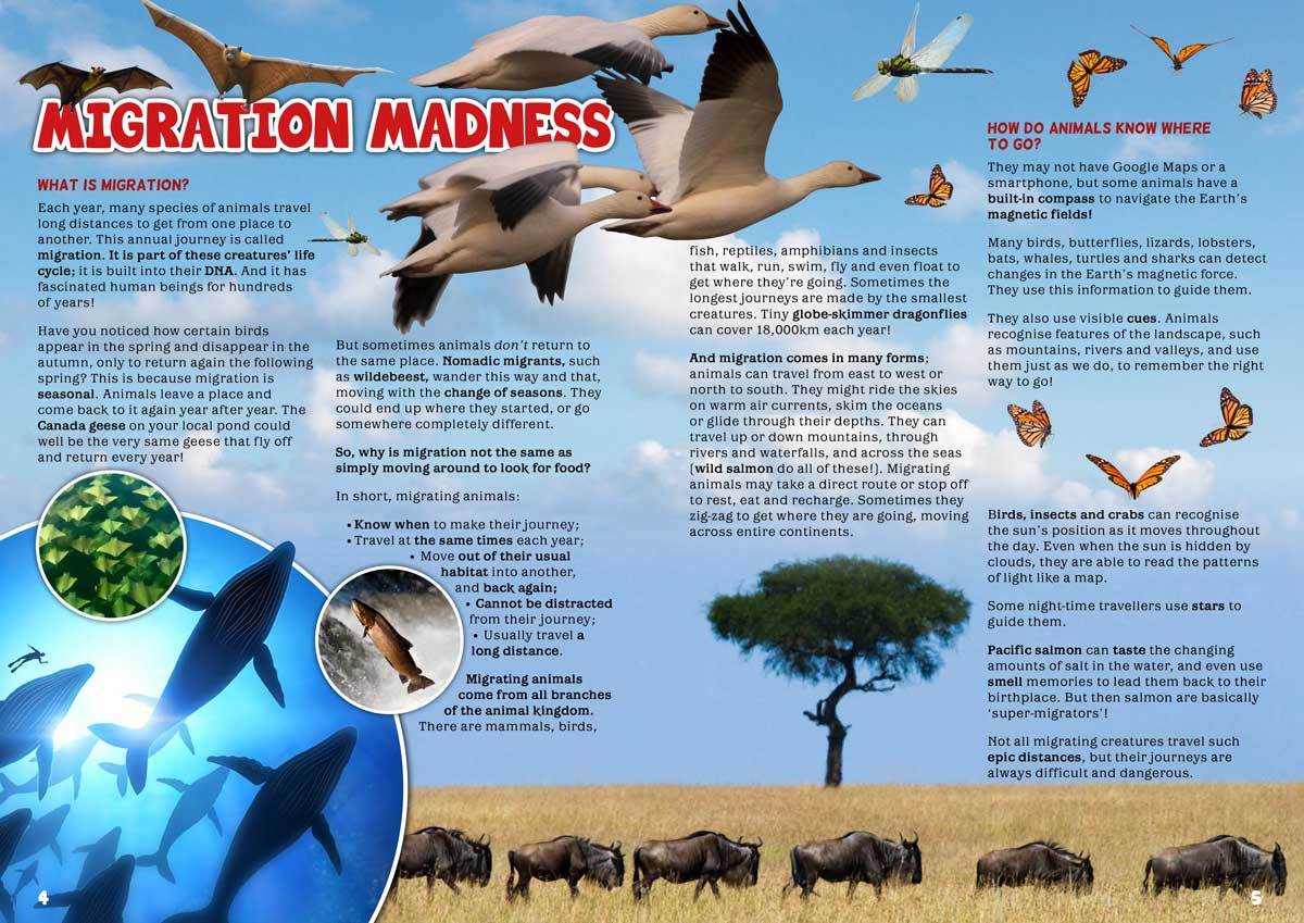 Kid's Nature Magazines - Issue 45/46 - Amazing Animal Migration - Eco ...