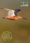 Kid&#39;s Nature Magazines - Issue 45/46 - Amazing Animal Migration