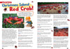 Kid&#39;s Nature Magazines - Issue 45/46 - Amazing Animal Migration