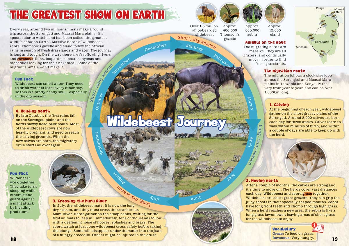 Kid&#39;s Nature Magazines - Issue 45/46 - Amazing Animal Migration