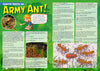 Kid&#39;s Nature Magazines - Issue 48 - Magnificent Minibeasts