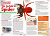 Kid&#39;s Nature Magazines - Issue 48 - Magnificent Minibeasts