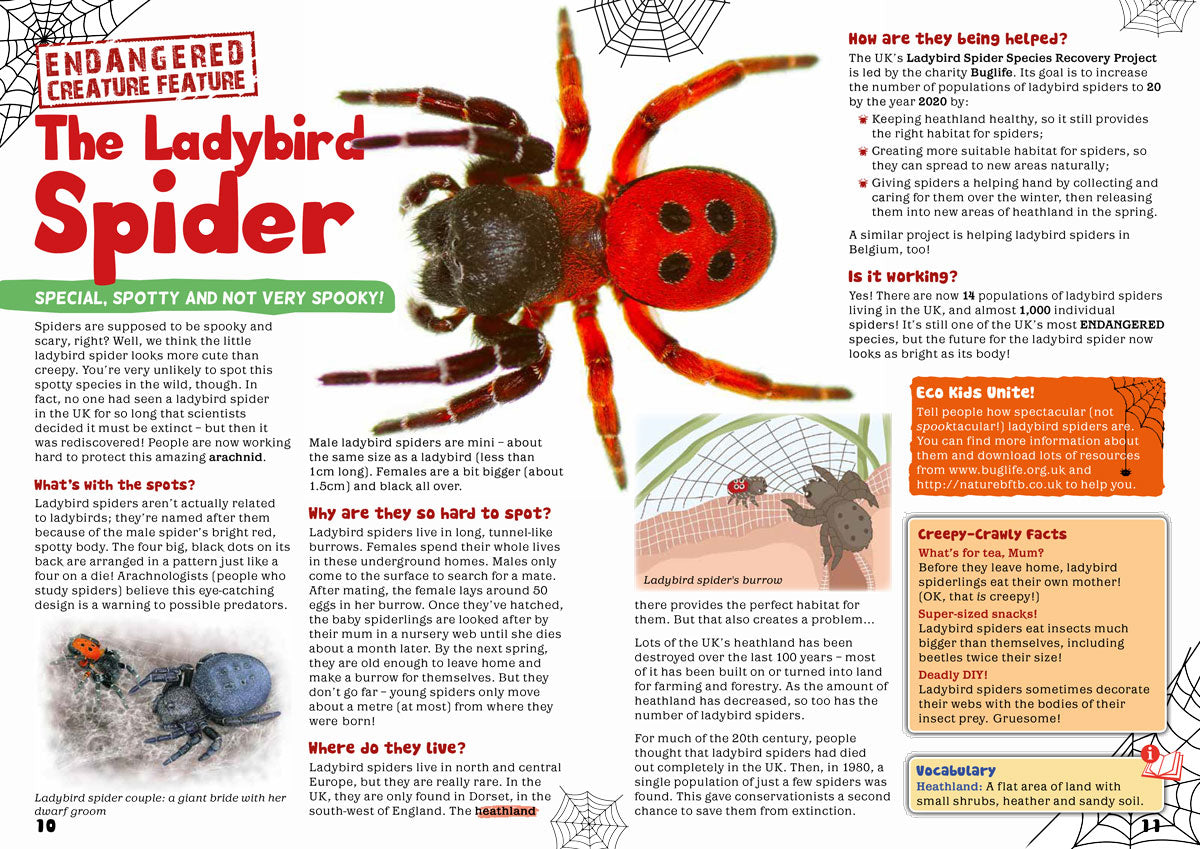 Kid&#39;s Nature Magazines - Issue 48 - Magnificent Minibeasts