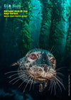 Kid&#39;s Nature Magazines - Issue 51 - The Pacific Ocean