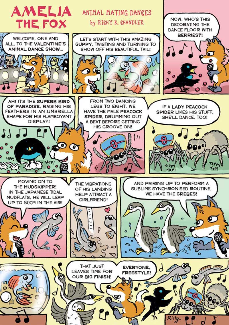 Kid&#39;s Nature Magazines - Issue 52 - Animal Friendships