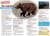 Kid&#39;s Nature Magazines - Issue 53 - The Gobi Desert