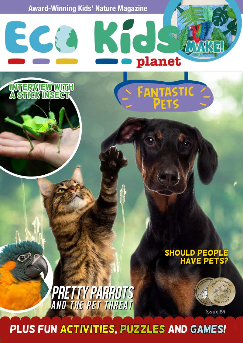 Kid's Nature Magazines - Issue 54 - Fantastic Pets