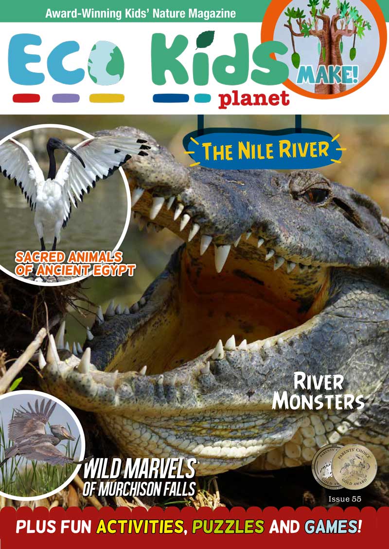 Kid's Nature Magazines - Issue 55 - The Nile River