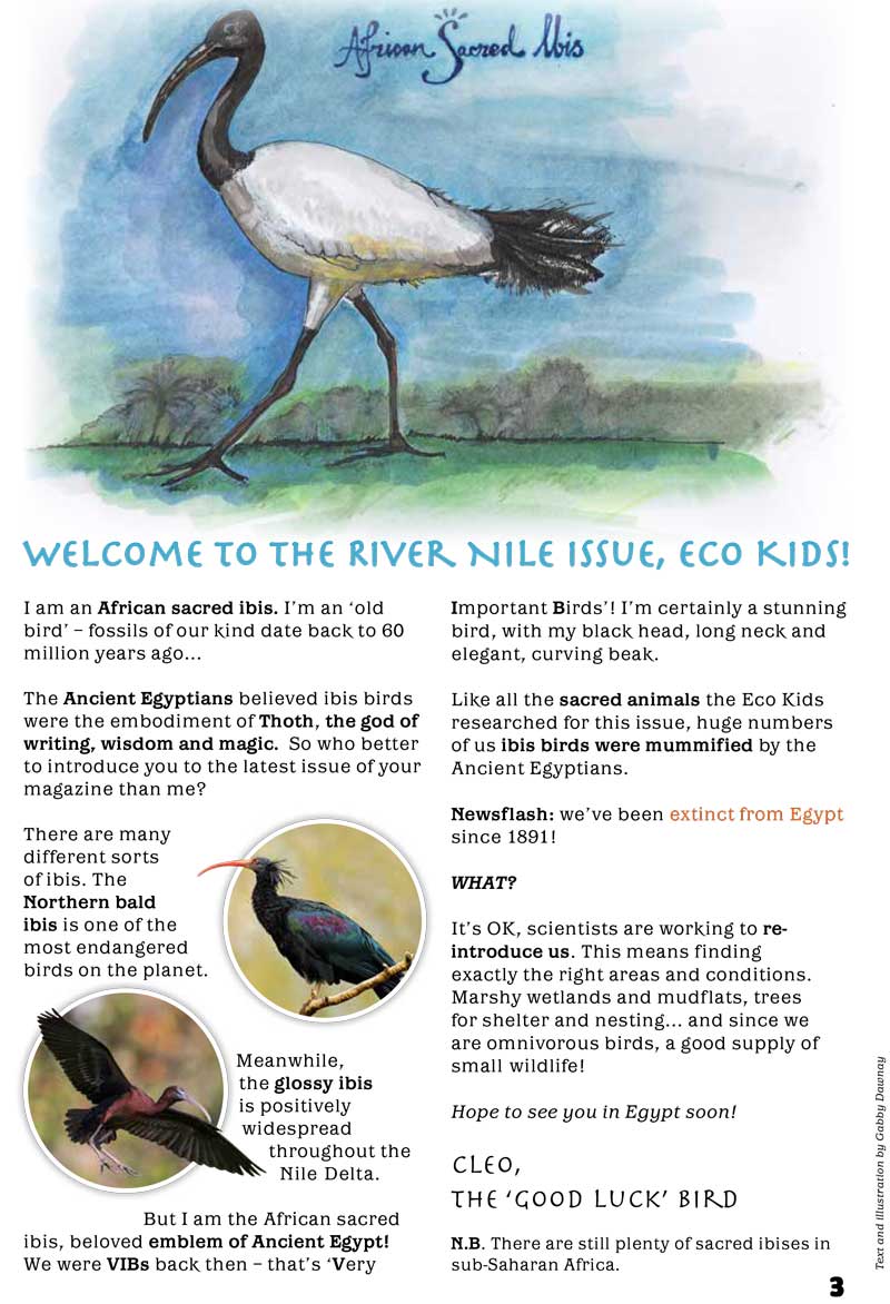 Kid&#39;s Nature Magazines - Issue 55 - The Nile River