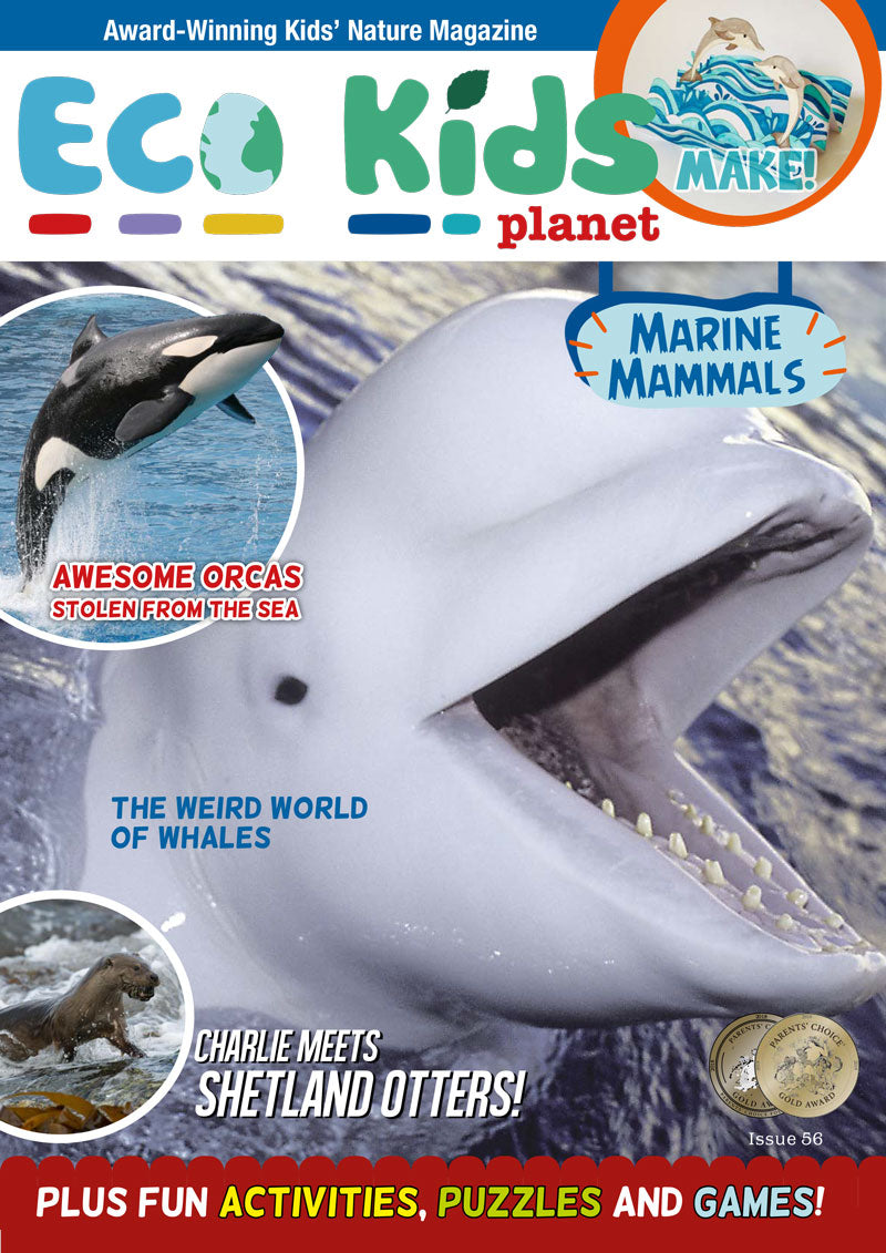 Kid's Nature Magazines - Issue 56 - Marine Mammals