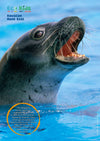 Kid&#39;s Nature Magazines - Issue 56 - Marine Mammals