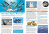 Kid&#39;s Nature Magazines - Issue 56 - Marine Mammals