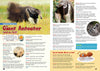 Kid&#39;s Nature Magazines - Issue 57/58 - Rainforests