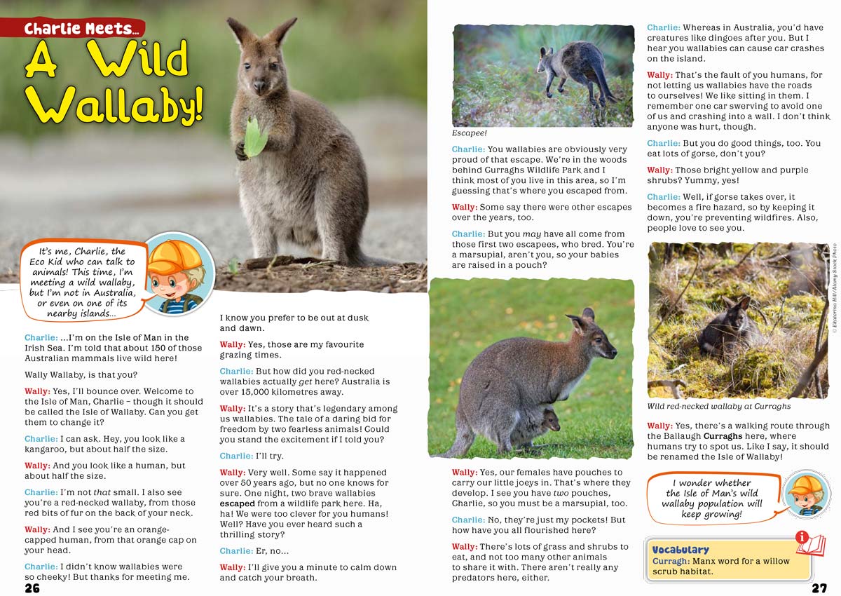 Kid&#39;s Nature Magazines – Issue 61 – Britain&#39;s Amazing Islands