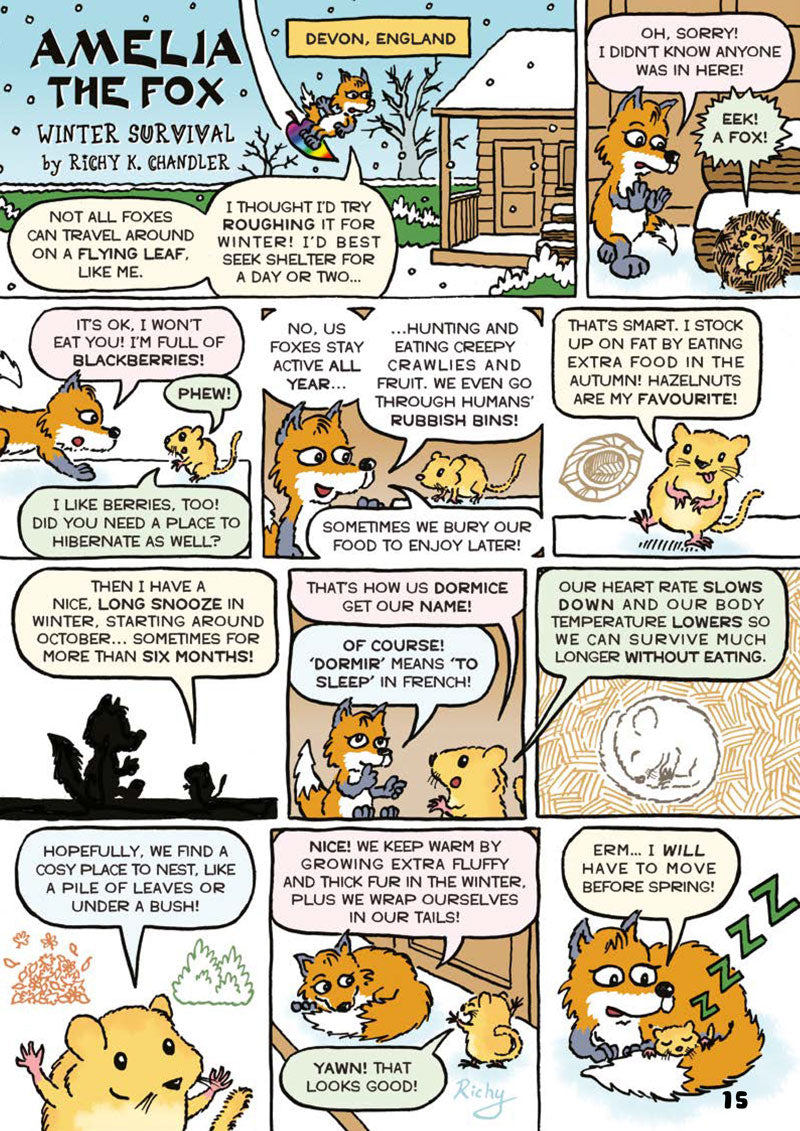 Kid&#39;s Nature Magazines – Issue 62 – Winter Wildlife