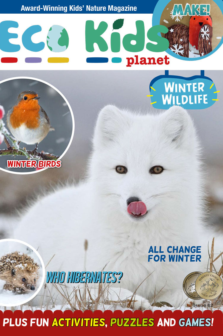 Kid's Nature Magazines – Issue 62 – Winter Wildlife