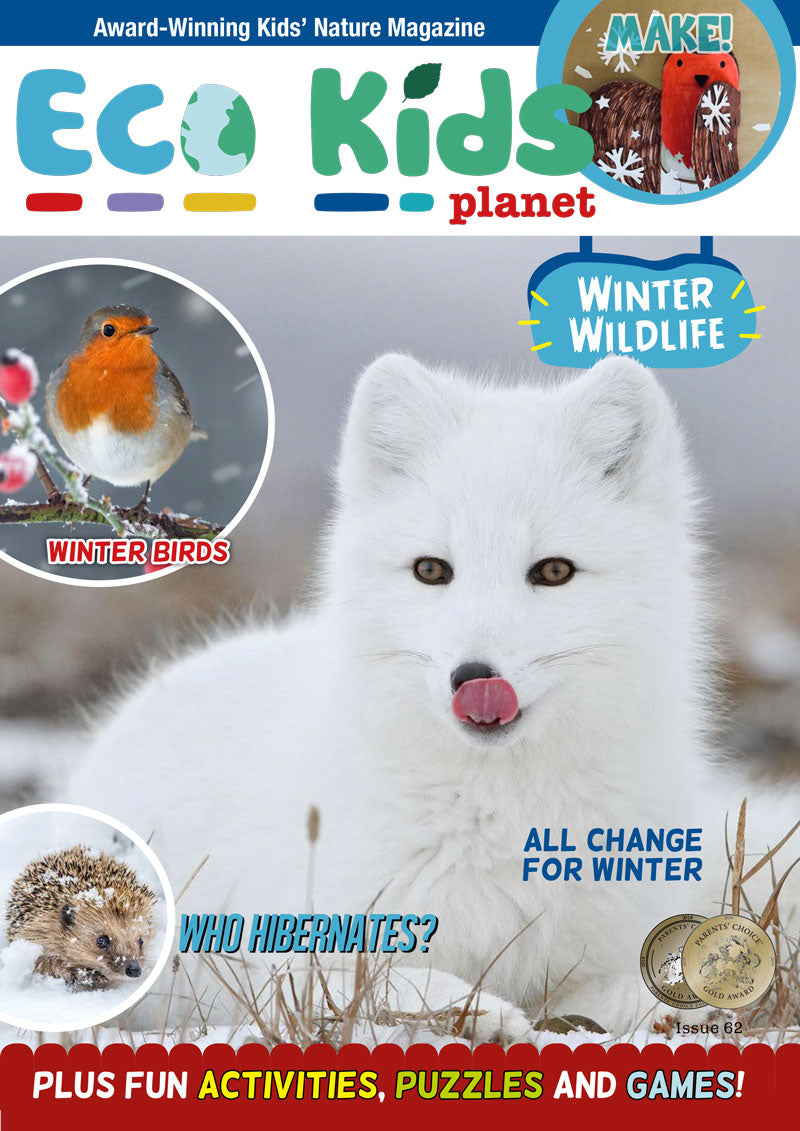 Kid's Nature Magazines – Issue 62 – Winter Wildlife