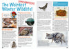 Kid&#39;s Nature Magazines – Issue 62 – Winter Wildlife