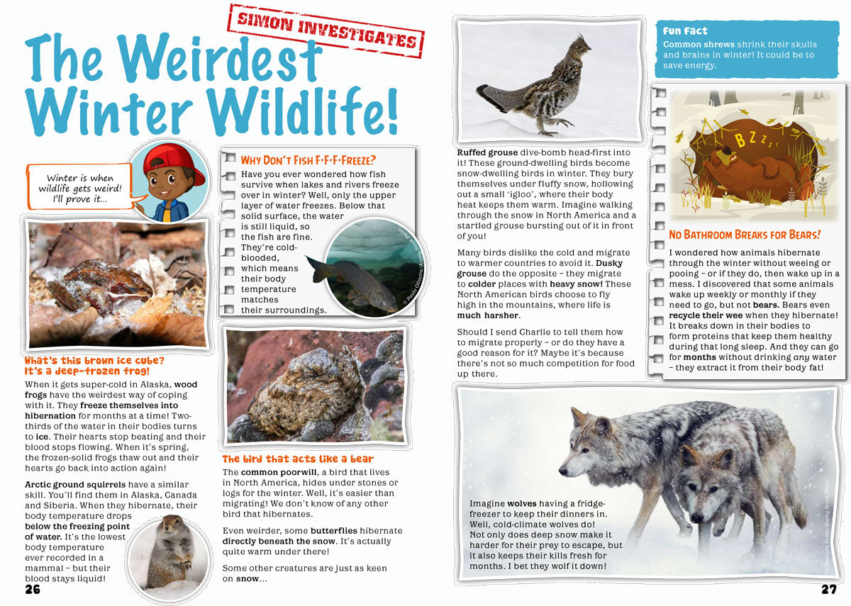 Kid&#39;s Nature Magazines – Issue 62 – Winter Wildlife