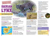 Kid&#39;s Nature Magazines – Issue 63 – Wild Cats of the World