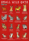 Kid&#39;s Nature Magazines – Issue 63 – Wild Cats of the World